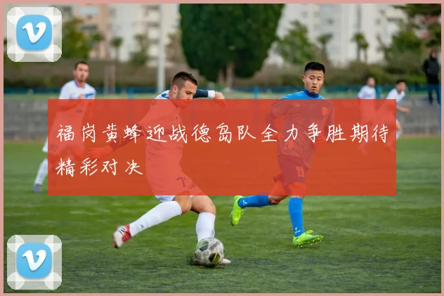 福岗黄蜂迎战德岛队全力争胜期待精彩对决