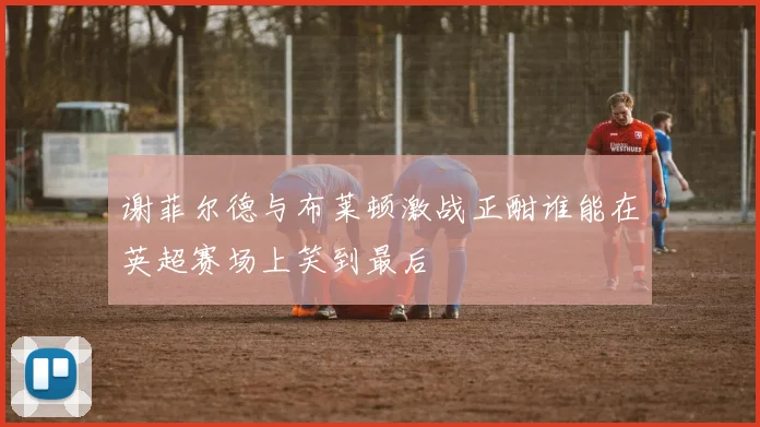 谢菲尔德与布莱顿激战正酣谁能在英超赛场上笑到最后