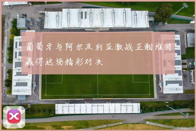葡萄牙与阿尔及利亚激战正酣谁将赢得这场精彩对决