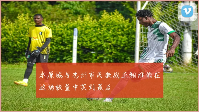 水原城与忠州市民激战正酣谁能在这场较量中笑到最后