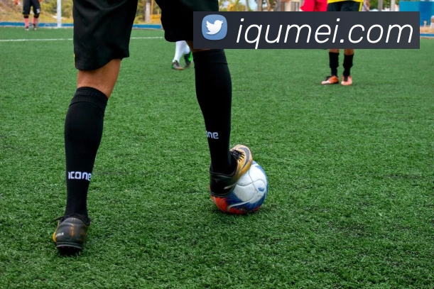 泛亚电竞平台生态图